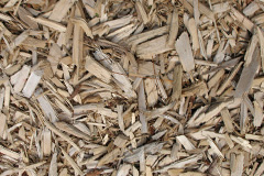 biomass boilers Egerton Forstal